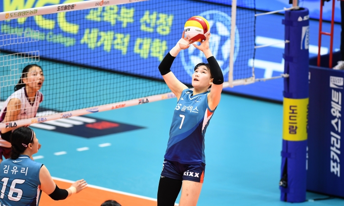 도쿄팡팡 이미지