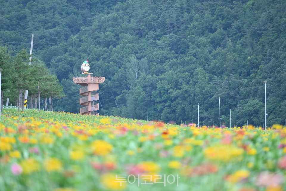 중앙꽃화원 이미지