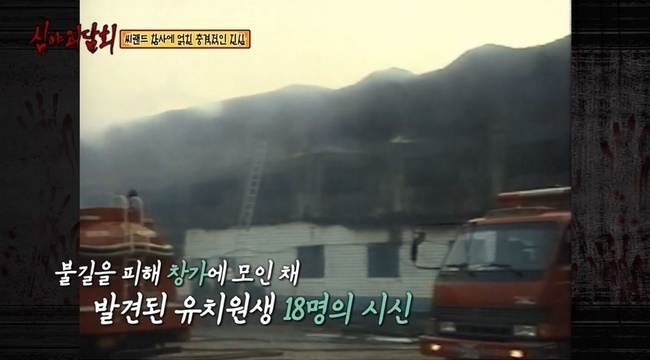 씨랜드 이미지