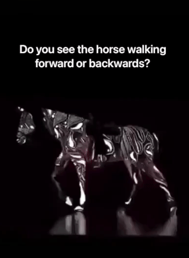 사진=유튜브 캡처