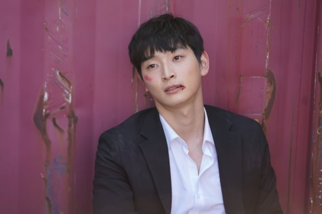 브라더 이미지