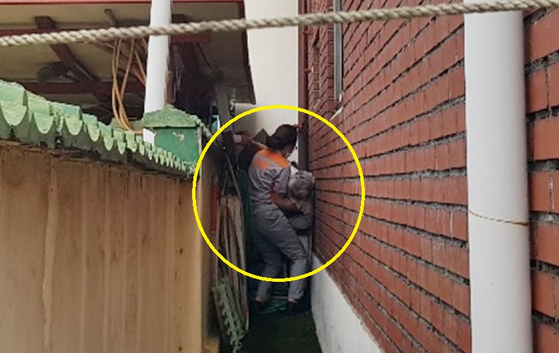 담벼락 이미지