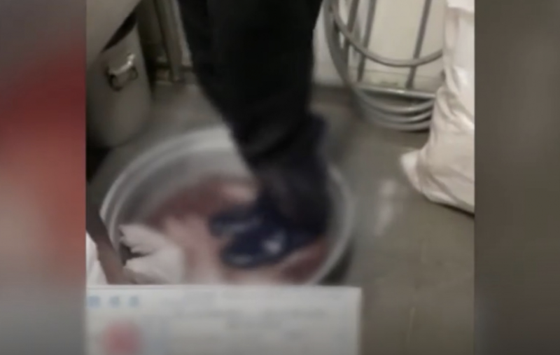 가장맛있는족발본사 이미지