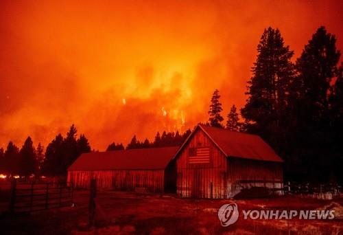 (주)모든 이미지