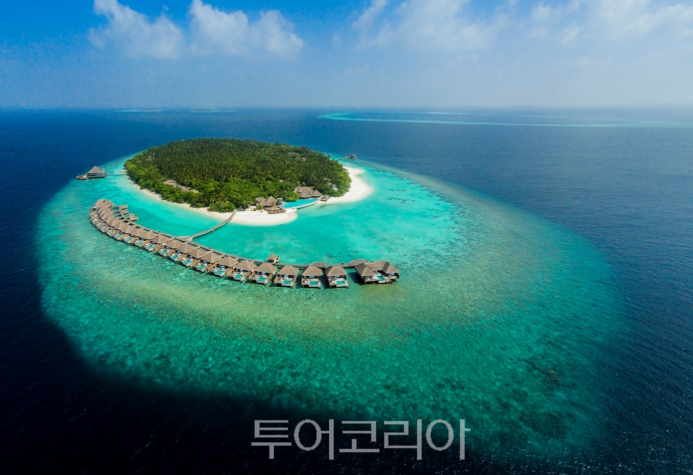 미화여행사 이미지