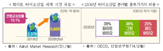 화이트환경 이미지