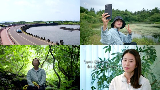 잠적 이미지
