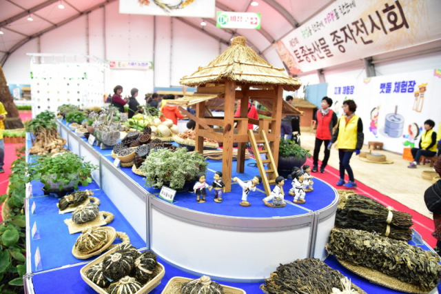 진주 이미지
