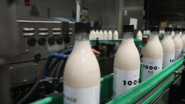 국순당 강원 횡성 공장에서 만들어진 막걸리 제품이 옮겨지고 있다. [영상 국순당]