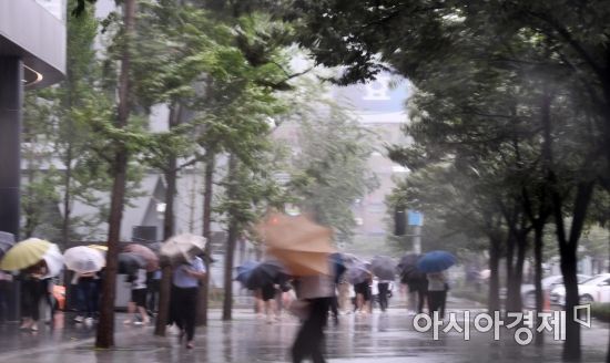 (주)태풍투자 이미지