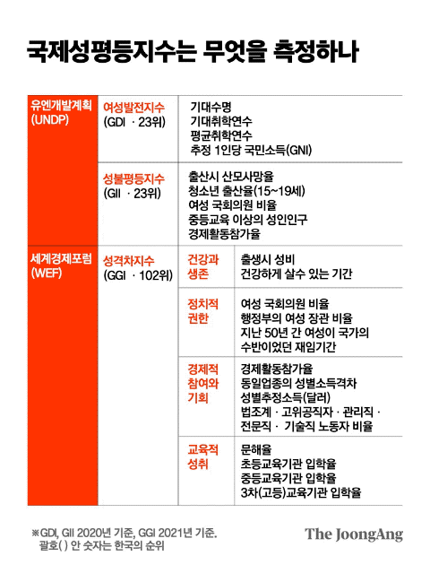 국제성평등지수는 무엇을 측정하나. 그래픽=김은교 kim.eungyo@joongang.co.kr