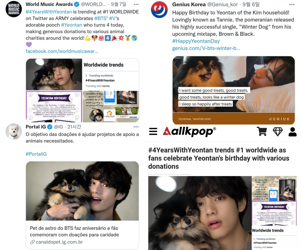 아미월드 이미지