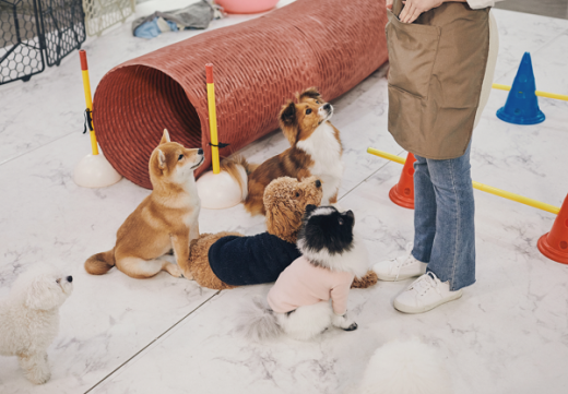 장례나라 이미지