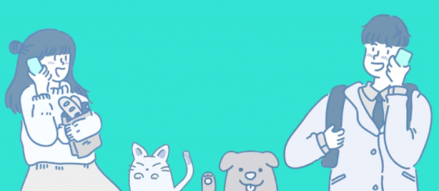 와이피글로벌 이미지