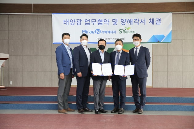 에스와이 이미지