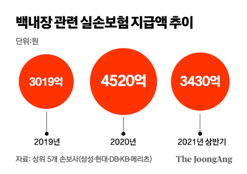 백내장 관련 실손보험 지급액 추이. 그래픽=김영옥 기자 yesok@joongang.co.kr