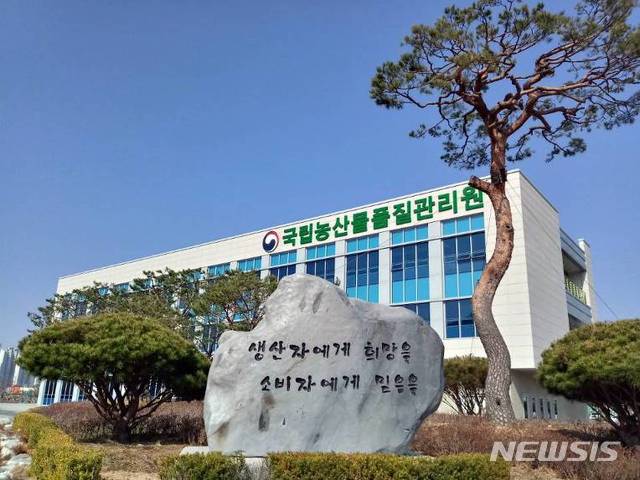 버섯류 이미지