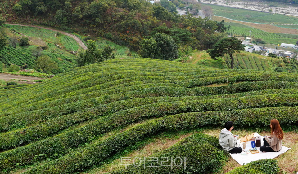 (주)테마캠프여행사 이미지