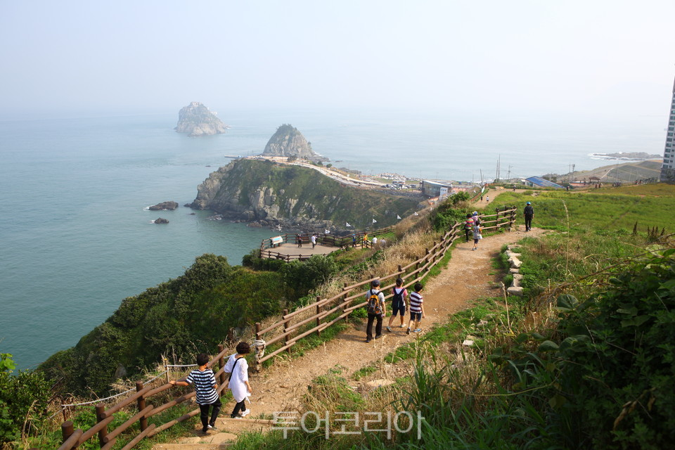 에이아이에이생명보험주식회사 이미지
