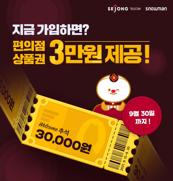 세종텔레콤 이미지