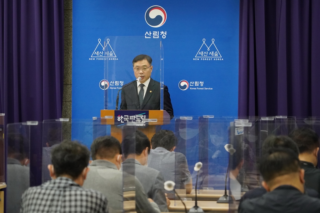 벌채지역 이미지