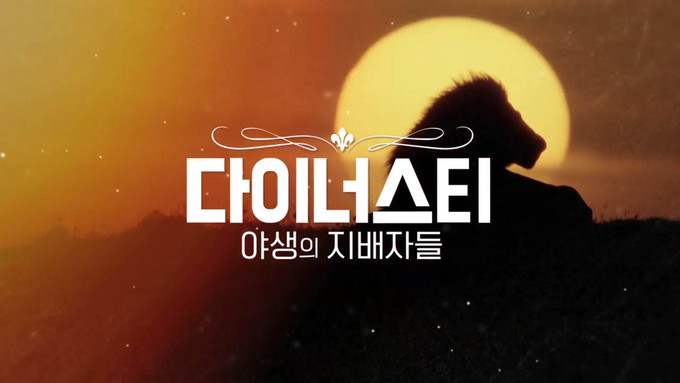 다큐 이미지