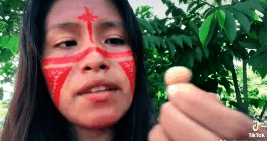 애벌레를 먹고 있는 쿤하포랑가 타투요. 틱톡 캡처