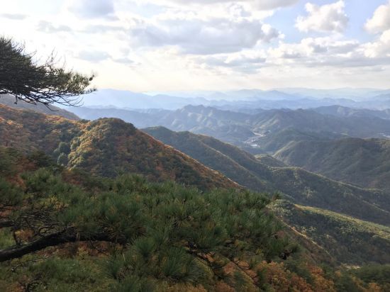 태화산 전경 이미지