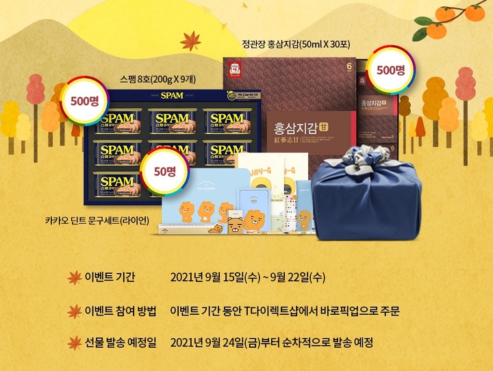다이렉트텔레콤 이미지