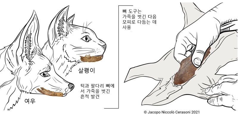 이옷니옷 이미지