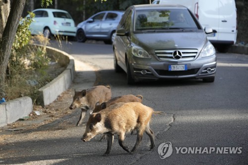 팔마미용실 이미지