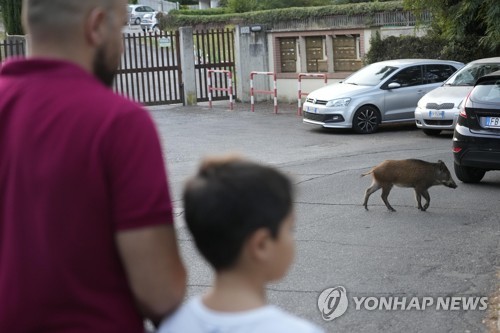 팔마미용실 이미지