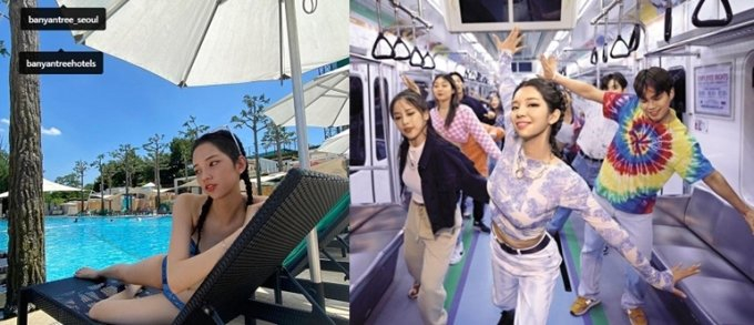 로지트리 이미지