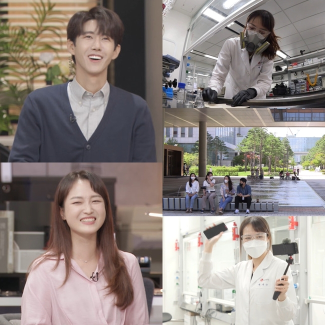 대지인력개발 이미지