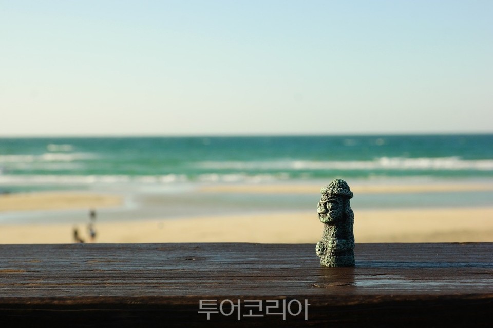 더좋은제주 이미지