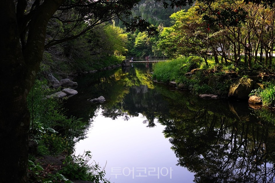 더좋은제주 이미지