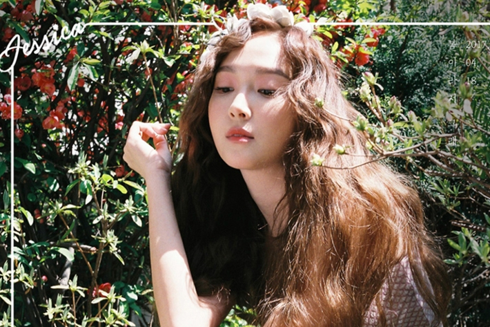 블랑엔터프라이즈 이미지