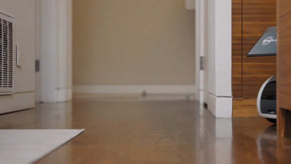 아스트로가 실제 집안에서 움직이는 모습 /영상 제공=아마존