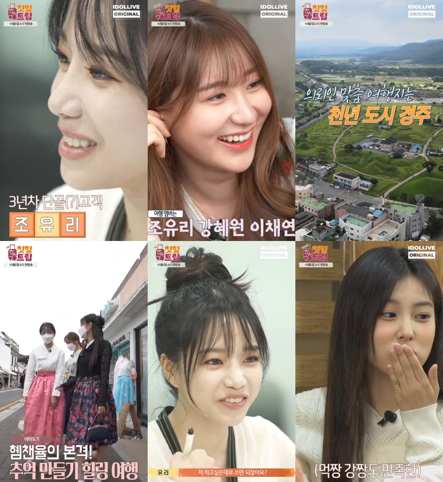 라이브여행사 이미지