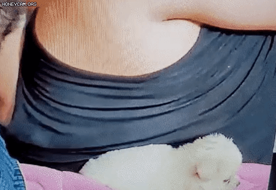 인터넷 방송 BJ인 A씨가 1일 취침 중 강아지를 깔아 뭉개는 모습/아프리카 TV