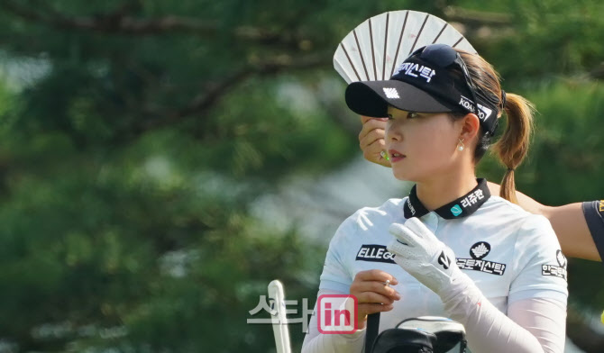 여우바라기 이미지