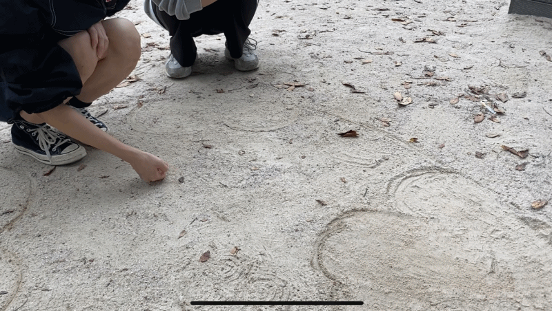 땅재먹기를 하는 모습. 엄지손가락을 튕겨 보낸 돌이 집에 들어가야 한다.