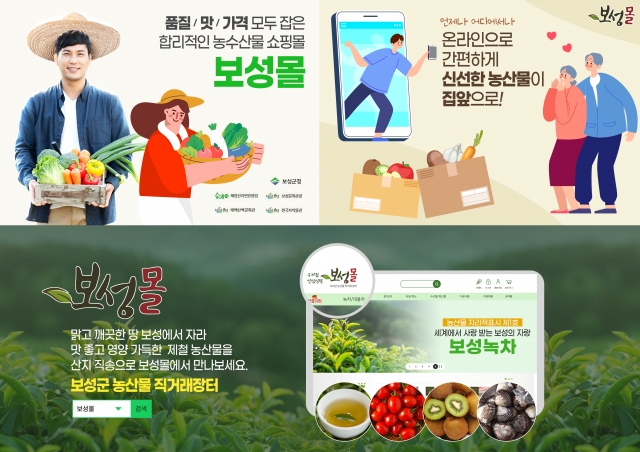 보성녹차미인 이미지