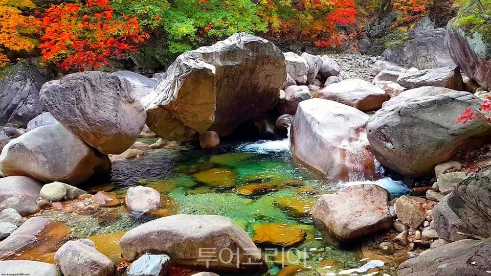강원도래요 이미지