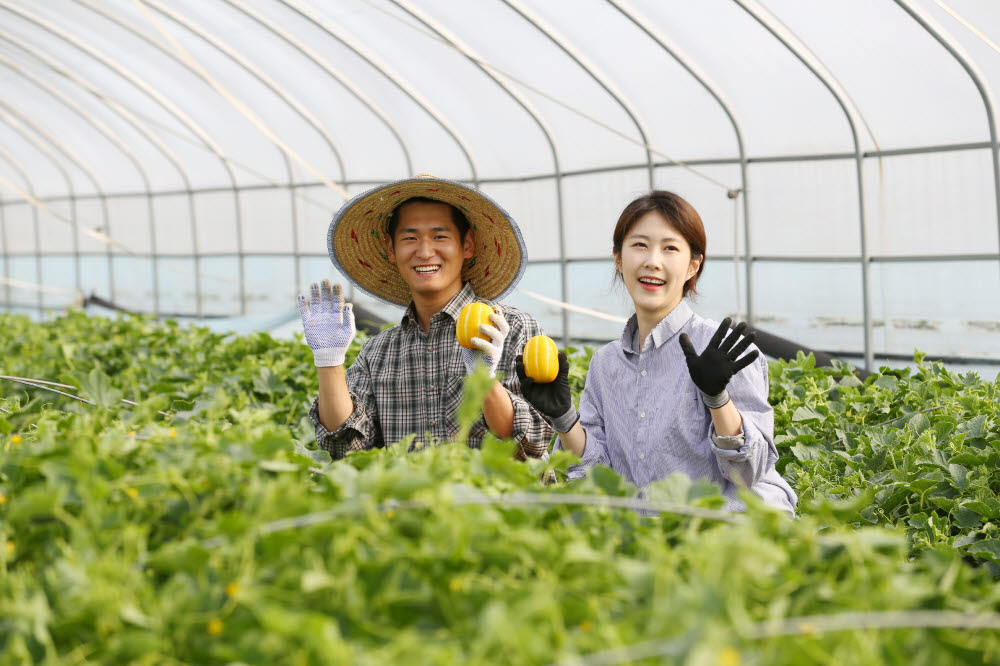 오케스트라파머스 이미지
