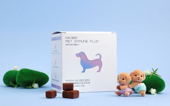 엔케이 이미지
