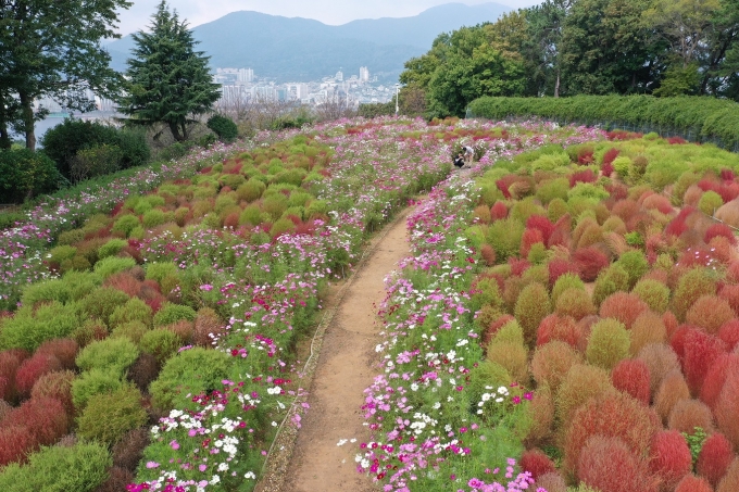 오성사 이미지