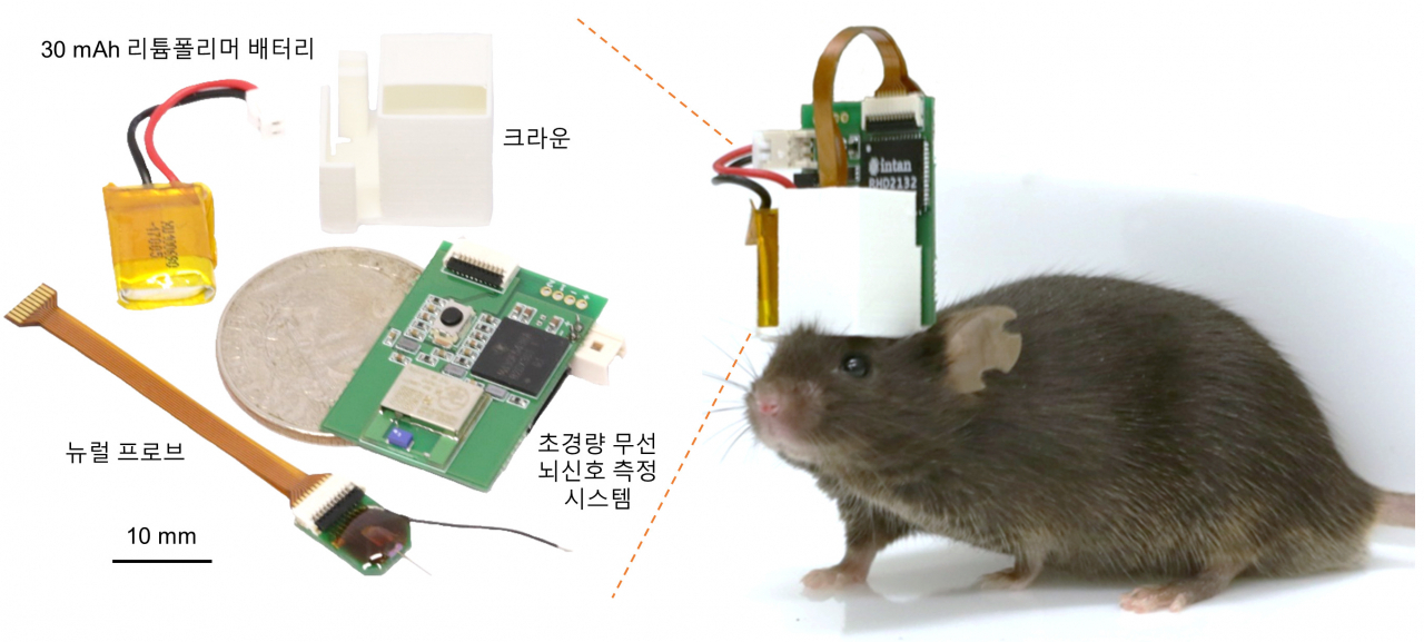 한국인지과학연구소 이미지