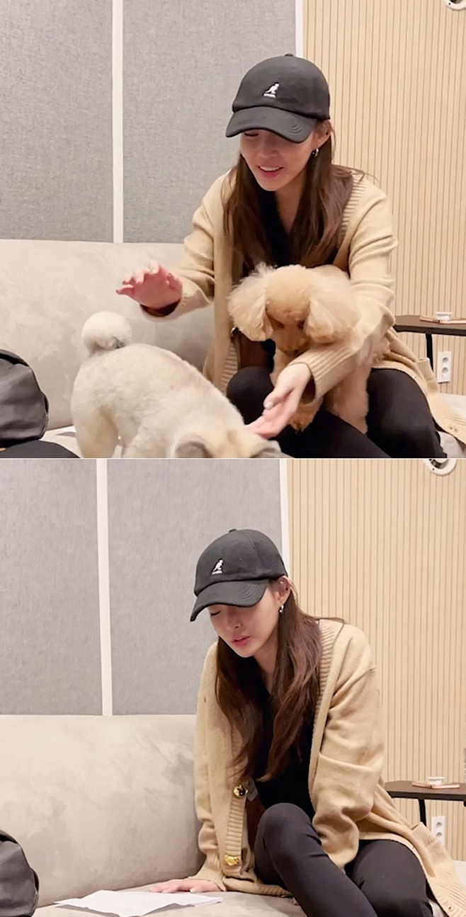 청하 이미지
