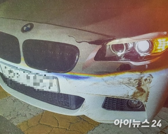 뒤쿵 이미지